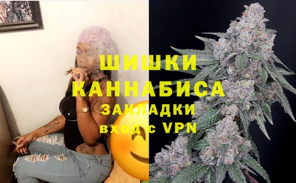 дурь Козельск