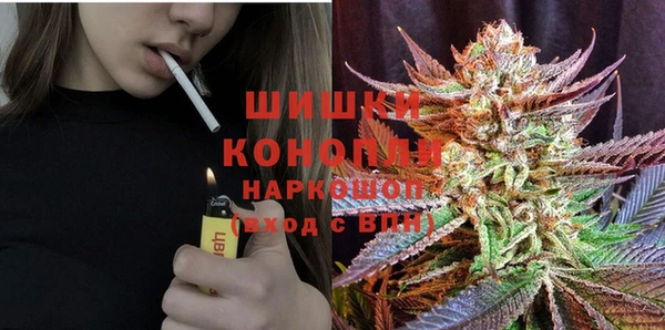 прущие крисы Кодинск