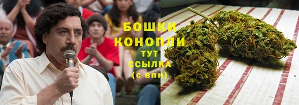 дурь Козельск