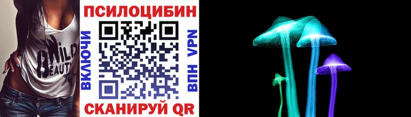 Купить где  Ноябрьск  Псилоцибиновые грибы мицелий 